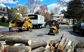 Best Commercial Tree Removal  in Twinsburg Heights, OH